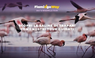 Flamingo Way - Tour delle Saline